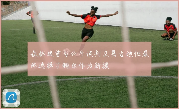 森林狼曾与公牛谈判交易吉迪但最终选择了鲍尔作为新援