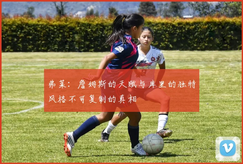 弗莱：詹姆斯的天赋与库里的独特风格不可复制的真相