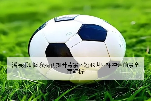 潘展乐训练负荷再提升背景下短池世界杯冲金前景全面解析(yabo)